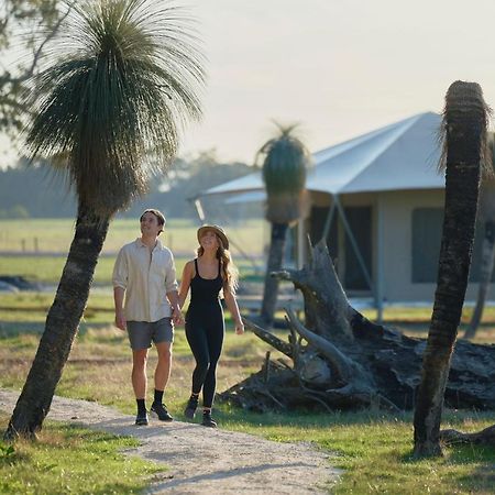Willow Wood Glamping Retreat Broadwater Экстерьер фото